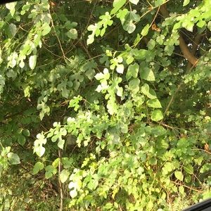 Meet your Posher, Elyssa